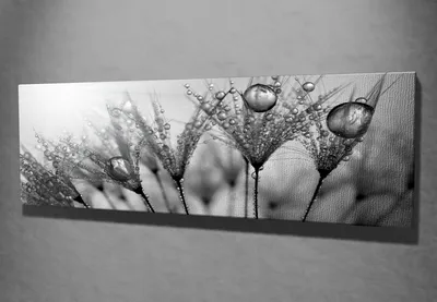 Produktbild von Wallity, PC047- SYM1251, Bunt, Leinwandbilder, 30 x 80 cm, 100% Leinwand