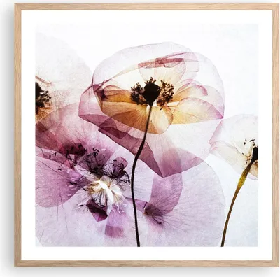 Produktbild von Gerahmtes Poster - Rahmen in heller Eiche - blume sommer natur - 60x60 cm - Wand Bild - Wanddeko - Wandbilder - Wandposter - Bilderrahmen - Bilder - Kunstdruck - Wandbild - P2NAC60x60-3821