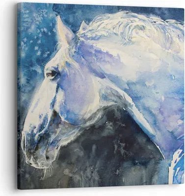 Produktbild von Bild auf Leinwand - Leinwandbild - Einteilig - Pferd Aquarell Porträt - 30x30cm - Wand Bild - Wanddeko - Wandbilder - Leinwanddruck - Bilder - Wanddekoration - Leinwand bilder - AC30x30-4272