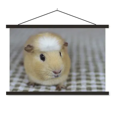 Produktbild von MuchoWow® Textilposter Kleines Meerschweinchen 150x100 cm mit schwarzem Rahmen - Schlafzimmer