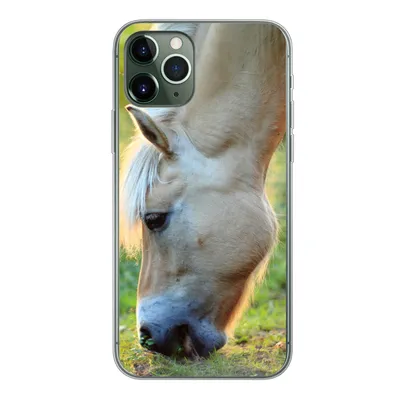 Produktbild von MuchoWow® Handyhülle Schutzhülle Hülle für iPhone 11 Pro Weidendes Fjordpferd an einem Sommertag Silikon Softcase Handy Hülle - Handy
