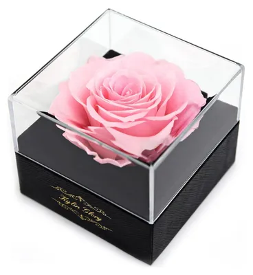 Produktbild von Frische Schnittblume konservierte Rose für Frauen Mutter Frau Freundin - Blumengeschenk echte Rose Nachbildung für Muttertag Valentinstag Hochzeit Party Feier Geburtstag Jahrestag (Rosa)