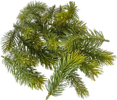 Produktbild von Deko-Tannenstreu aus Kunststoff 24 Teile. Größe 8, 10, 13cm.