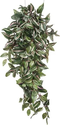 Image de Mica Decorations Tradescantia plante artificielle suspendue - L15 x l30 x H80 cm - Vert