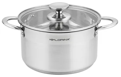 Image de Casserole en acier inoxydable FLORINA 6 l, 24 cm de diamètre | Casserole à faible consommation d'énergie FALCON | Casserole avec couvercle en verre et échelle graduée | Fond à 3 couches pour une répartition homogène de la chaleur | Idéale pour tous les types de cuisinières