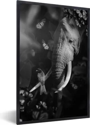 Produktbild von MuchoWow® Gerahmtes Poster Porträt eines Elefanten und eines Vogels im Dschungel - schwarz und weiß 60x90 cm - Poster mit Schwarzem Bilderrahmen Wandposter Rahmen Foto Bilder - Kunst