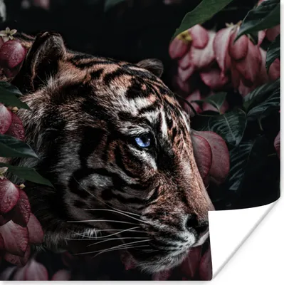 Produktbild von MuchoWow® Poster Tiger - Blumen - Pflanze 30x30 cm - Wandposter - Printing
