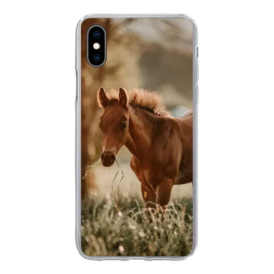 Produktbild von MuchoWow® Handyhülle Schutzhülle Hülle für iPhone Xs Pferd - Licht - Wiese Silikon Softcase Handy Hülle - Handytasche
