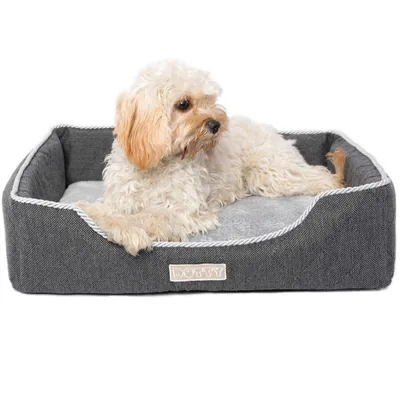 Produktbild von DOTTY Schlafplatz Hundebett, Hundesofa, Katzenbett Kuscheliges Haustierbett, Plüschbett für mittelgroße große Hunde, Graphite, Größe L (75 cm x 60 cm)