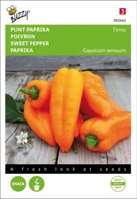 Produktbild von Paprika Timia Orange | Paprikasamen von Buzzy Seeds