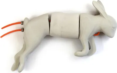 Produktbild von Mystique Bunny Dummy Kaninchendummy klein