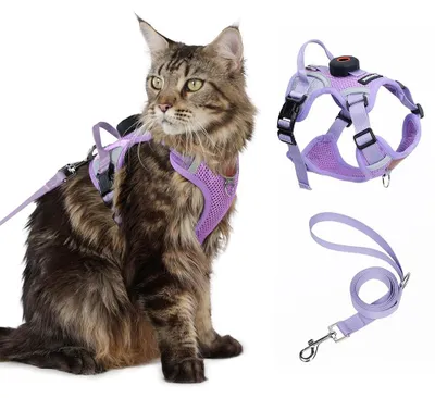Katzengeschirr mit AirTag-Halter, ausbruchsicher, M, atmungsaktiv, reflektierend