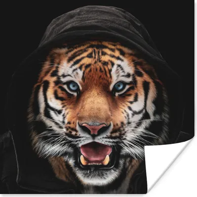 Produktbild von MuchoWow® Poster Tiger - Kleidung - Blau 100x100 cm - Babyzimmer