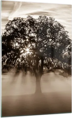 Produktbild von Bilder auf glas - Einteilig - Baum Feld Natur - 70x100cm - Glasbilder - Wandbilder - Bilder - zum Aufhängen bereit - Wanddekoration aus Glas - Glas Bilder - Wandbild auf Glas - GPA70x100-3811
