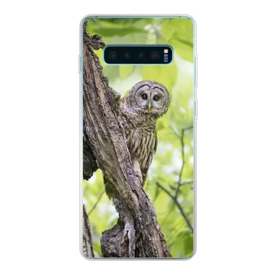 Produktbild von MuchoWow® Handyhülle Schutzhülle Hülle für Samsung Galaxy S10 Lite Eule - Wald - Licht Silikon Softcase Handy Hülle - Schutz