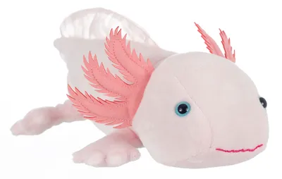 Produktbild von Axolotl 32cm Plüschtier