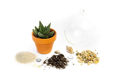 Obrázek produktu pro Gardners Aerárium koule 12 cm Osázej si sám