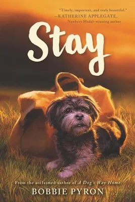 Obrázek produktu pro Taschenbuch: Ein Mädchen im Tierheim und der obdachlose Hund auf Familiensuche