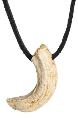 Produktbild von Wildschweinhauer Kette