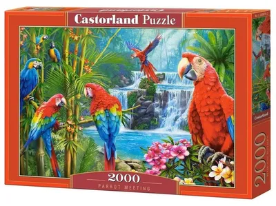 Produktbild von Puzzle 2000 Teile Papageientreffen Castorland