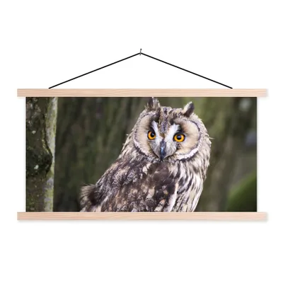 Produktbild von MuchoWow® Textilposter Eule - Nahaufnahme - Baum 60x30 cm mit holzfarbenen Rahmen - Dekoration