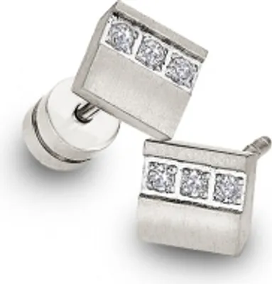 Produktbild von CEM Titan Ohrschmuck CT6-013