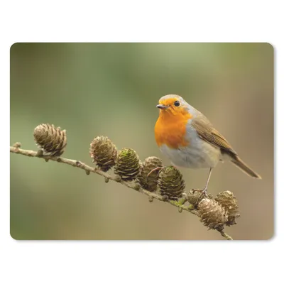 Produktbild von MuchoWow® Mauspad Mousepad Vogel - Rotkehlchen - Tannenzapfen - Zweig - Herbst 23x19 cm - Mousepads - Maus Mat - Pad - Mausunterlage - Schreibtischunterlage - Mauspad
