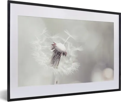 Produktbild von MuchoWow® Gerahmtes Poster Weißer Löwenzahn mit Samen auf hellem Hintergrund 60x40 cm - Poster mit Schwarzem Bilderrahmen Wandposter Rahmen Foto Bilder - Schlafzimmer - Plakat in Rahmen - Drucken