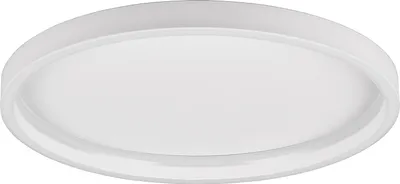 A white, circular ceiling light fixture.