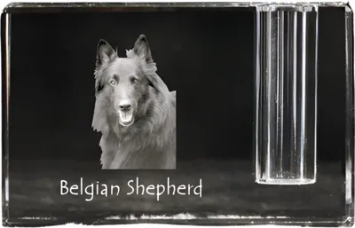 Produktbild von Art-Dog Stifthalter Belgischer Schäferhund