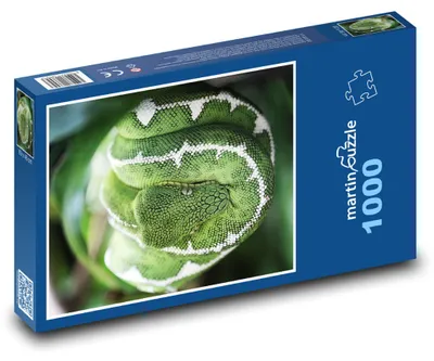 Obrázok produktu pre Puzzle 1000 Zelený had v prírode - martinpuzzle