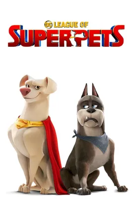 Produktbild von Play By Play Dc League Of Super-pets Teddy Chip 27 Cm Mehrfarbig Mehrfarbig One Size