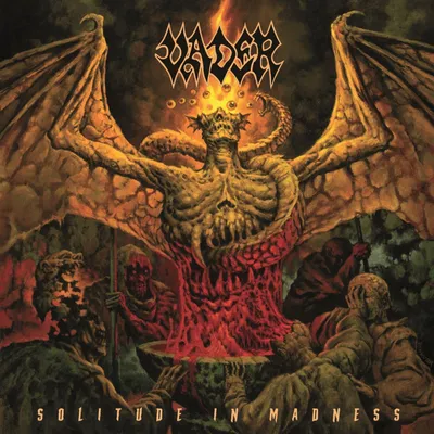 Produktbild von Solitude In Madness