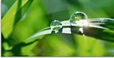 Produktbild von ARTland Glasbild Grüner Hintergrund mit Gras Größe: 60x30 cm