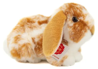 Image de Peluche lapin couleur crème/blanc, 23 cm