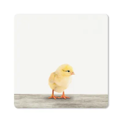 Produktbild von MuchoWow® Mauspad Mousepad Tiere - Huhn - Gelb 20x20 cm - Mousepads - Maus Mat - Pad - Mausunterlage - Desk Mat - Bureauartikeln