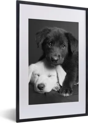 Produktbild von MuchoWow® Gerahmtes Poster Hunde - Welpe - Schwarz - Weiß - Tiere 40x60 cm - Poster mit Schwarzem Bilderrahmen Wandposter Rahmen Foto Bilder - Poster in Rahmen
