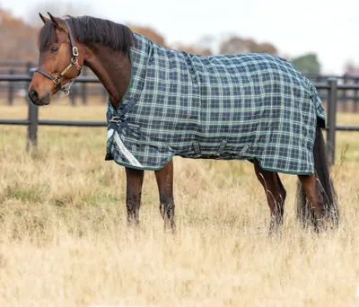 Produktbild von Horseware Rhino Wug Turnout Lite 100g Weidedecke Hunter Check