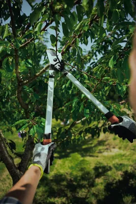 Productafbeelding van Famanu tuinschaar, 70 cm - Professioneel en duurzaam