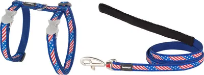 Obrázok produktu pre Postroj pre psa Red Dingo US Flag 21-35 cm Blue