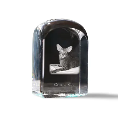 Imagen del producto de Art-Dog Pisapapeles – Gato oriental