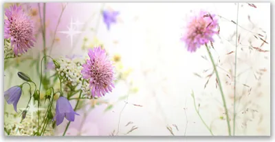 Produktbild von Glasbilder 120x60 Wandbild Druck auf Glas Blumen Pflanzen