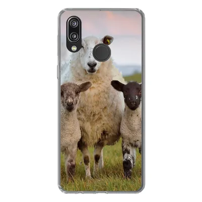 Produktbild von MuchoWow® Handyhülle Schutzhülle Hülle für Huawei P20 Lite (2020) Schafe - Natur - Schwarz - Weiß Silikon Softcase Handy Hülle - Kartenhalter
