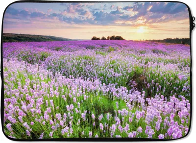 Produktbild von MuchoWow® Laptop Hülle 13 Zoll Blumen - Lavendel - Lila - Himmel - Sonnenuntergang - Wiese - Natur Laptoptasche - Laptophülle - Sleeve - Rundumschutz