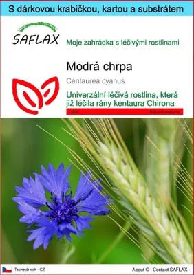 Obrázek produktu pro SAFLAX Dárková sada - Modrá chrpa - Centaurea cyanus - 27000 Semena - S dárkovou krabičkou, přepravním štítkem, dárkovou kartou a pěstebním médiem