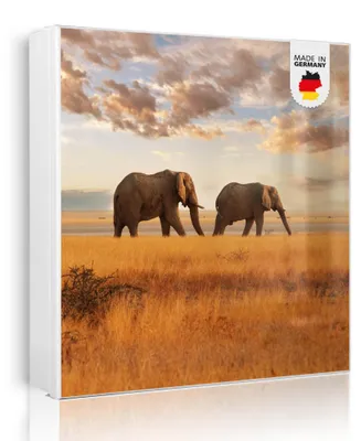 Zdjęcie produktu dla banjado metalowa szafka na klucze, duża 30x30 cm z 32 haczykami, może służyć jako tablica magnetyczna, biały korpus, zawias po prawej stronie, Elefanten [SKGW1 10488]