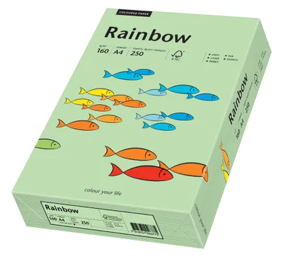Immagine prodotto di Carta colorata Papyrus Rainbow - DIN A4 - 210 mm x 297 mm - 160 g/m² - 250 fogli - Verde