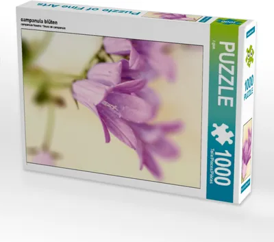 Produktbild von CALVENDO Puzzle campanula blüten | 1000 Teile Lege-Größe 64x48cm Foto-Puzzle für glückliche Stunden