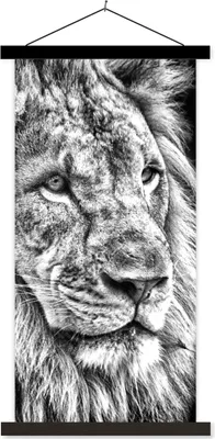 Produktbild von MuchoWow® Textilposter Porträt - Löwe - Schwarz und weiß 90x180 cm mit schwarzem Rahmen - Dekoration Wohnzimmer