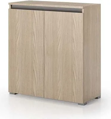 Immagine prodotto di Armadietto multiuso olmo effetto legno 2 ante